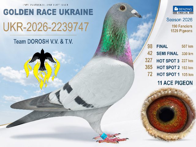 UKR-2026-2239747 Final 98
