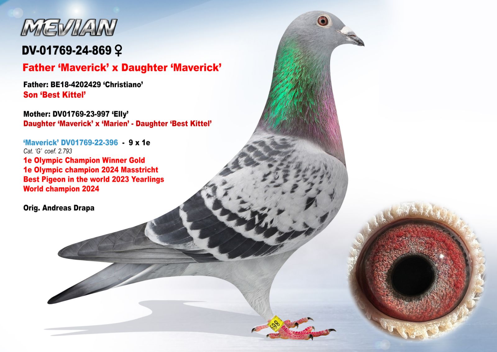 DV-01769-869-24 'Mevian'