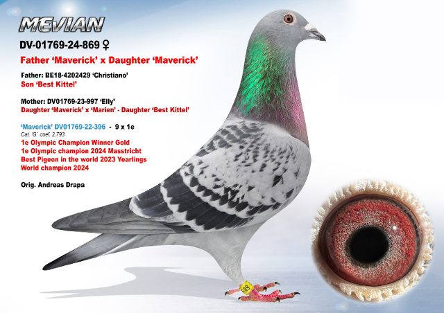 DV-01769-869-24 'Mevian'