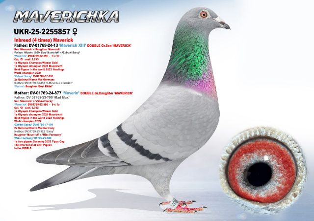 UKR-2255857-25 'Maverichka'