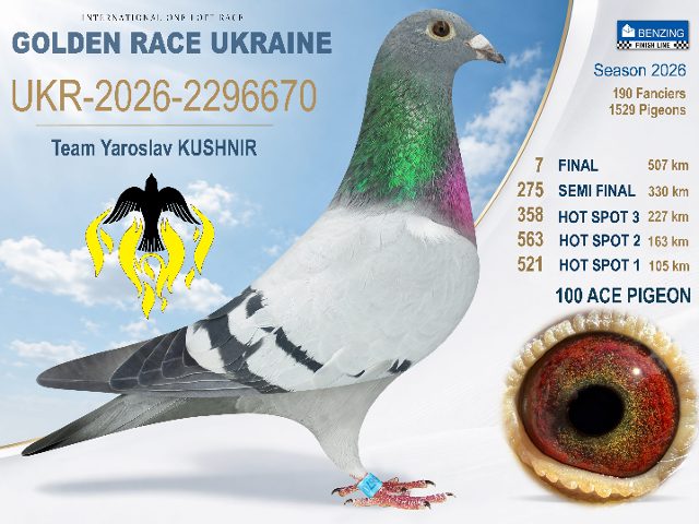 UKR-2026-2296670 Final 7