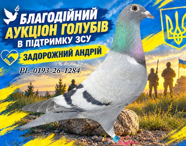 PL-0193-26-1284 1284