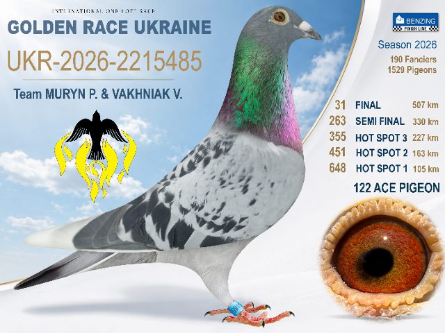 UKR-2026-2215485 Final 31