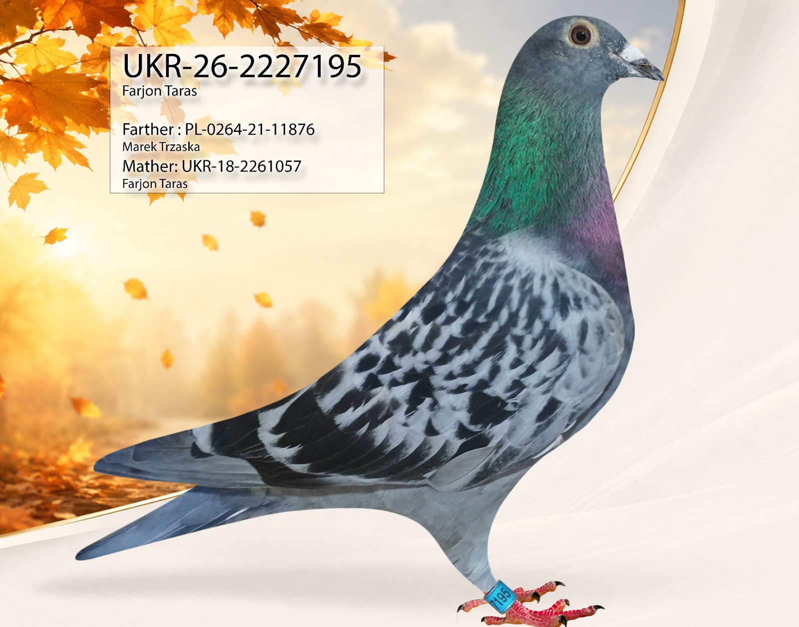 Лот 4 «195»