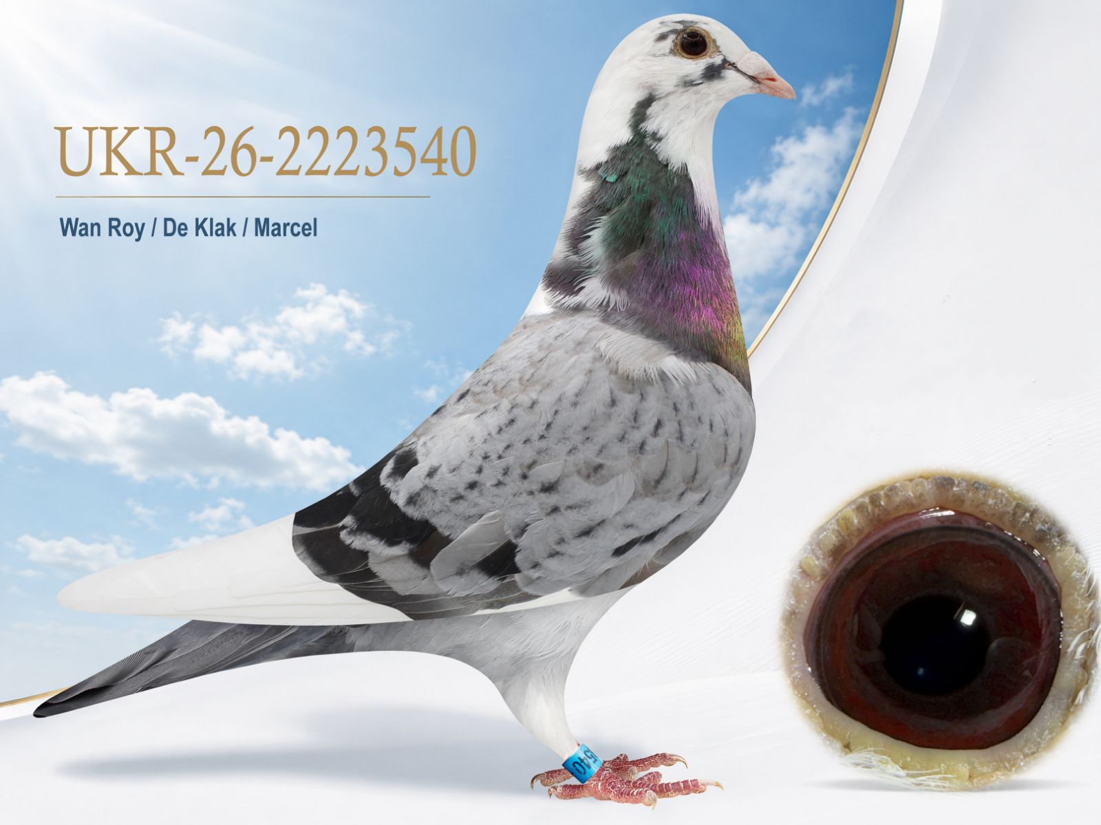 UKR-26-2223540 2223540