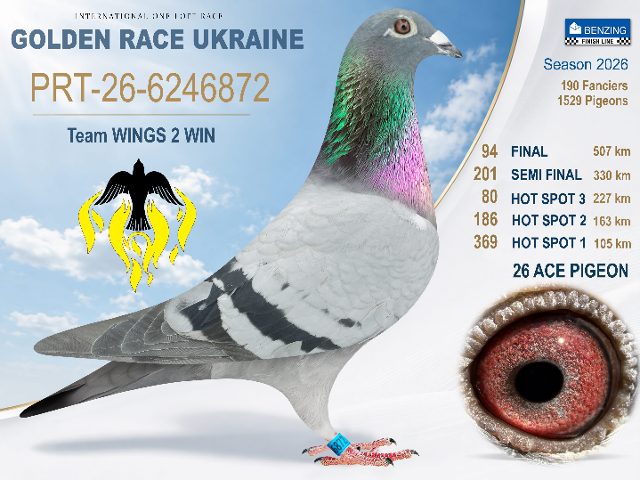 PRT-26-6246872 Final 94