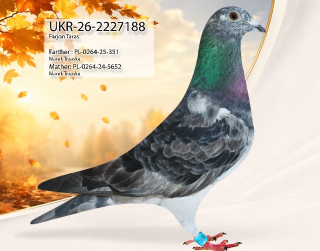 UKR-26-2227188 188