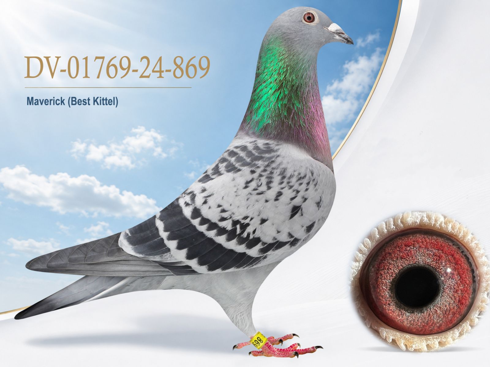 DV-01769-24-869 'Mevian'