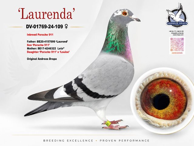 DV-01769-24-109 ‘Laurenda’