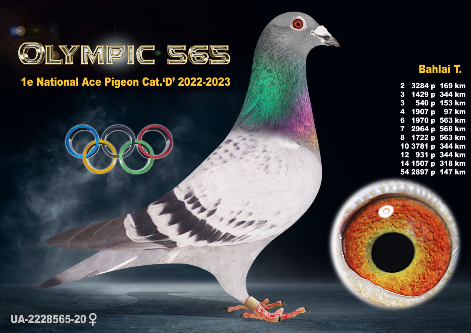 UA-2228565-2020 Olympic-565