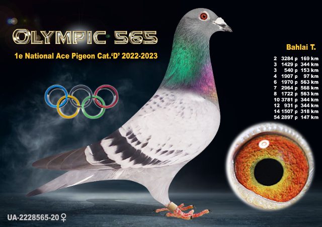 UA-2228565-2020 Olympic-565