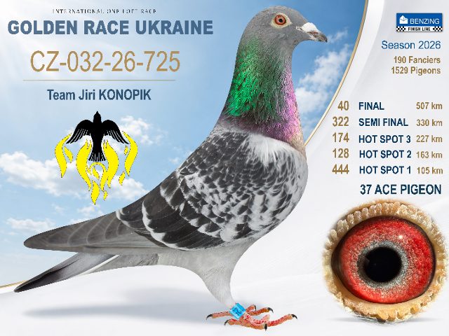 CZ-032-26-725 Final 40