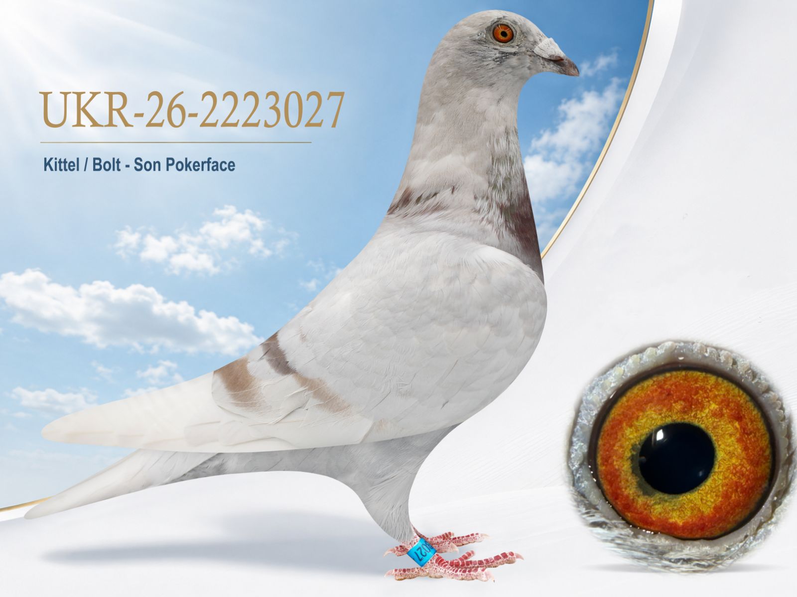 UKR-26-2223027 2223027