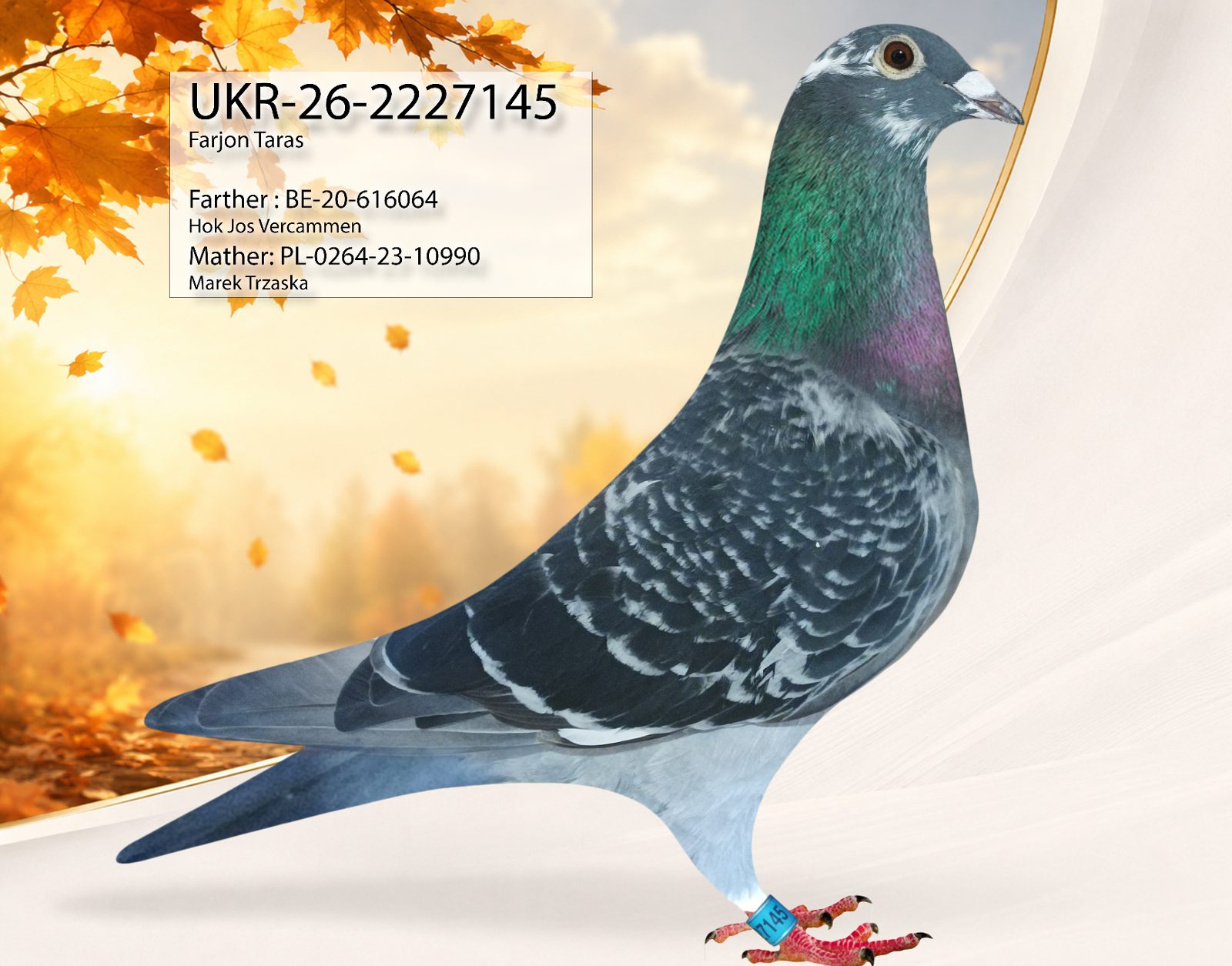 Лот 6 «145»