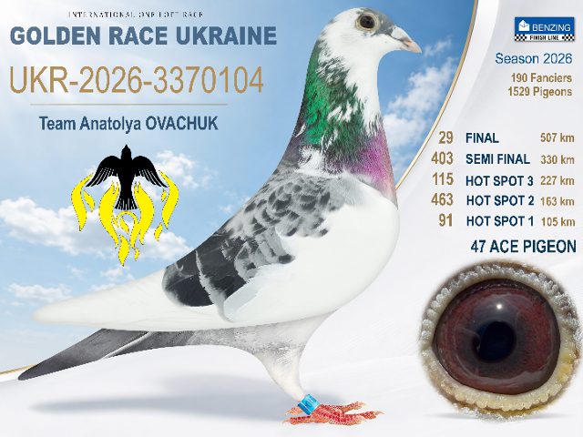 UKR-2026-3370104 Final 29