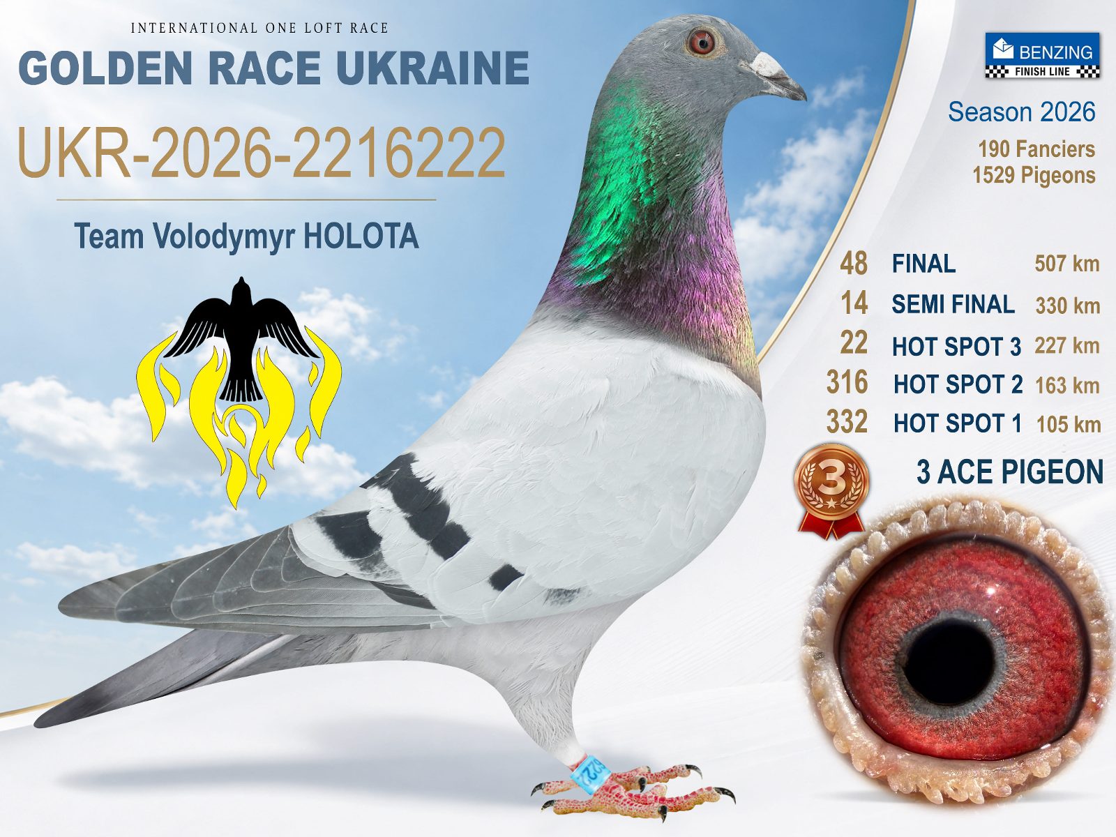 Лот 48 «Final 48 - 3 AC Pigeon»