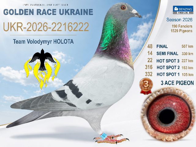 UKR-2026-2216222 Final 48 - 3 AC Pigeon