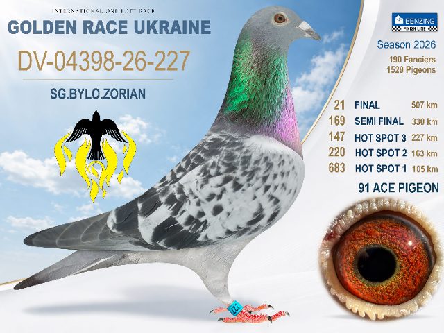 DV-04398-26-227 Final 21