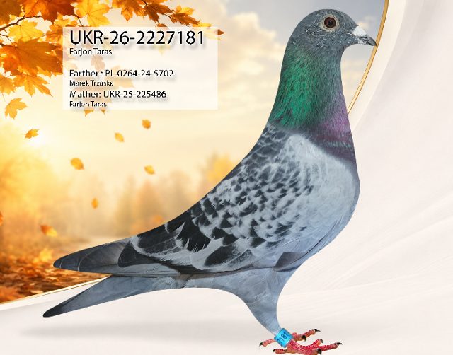 UKR-2227181-26 181