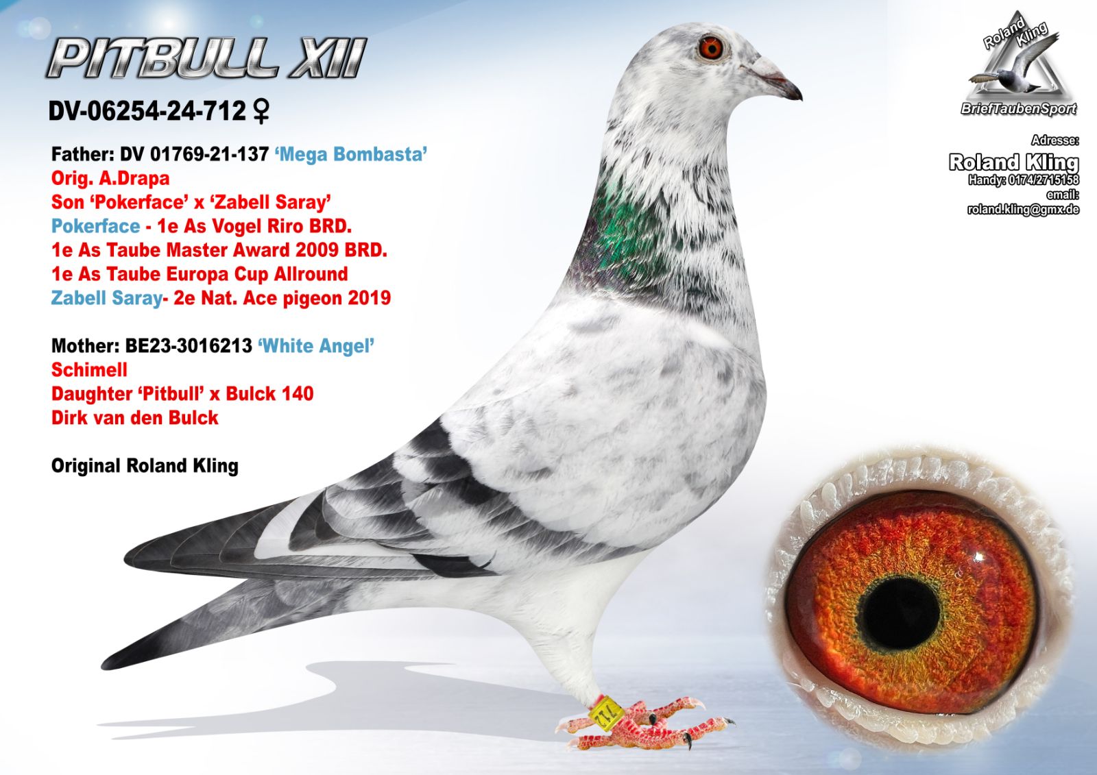DV-06254-24-712 'Pitbull XII'