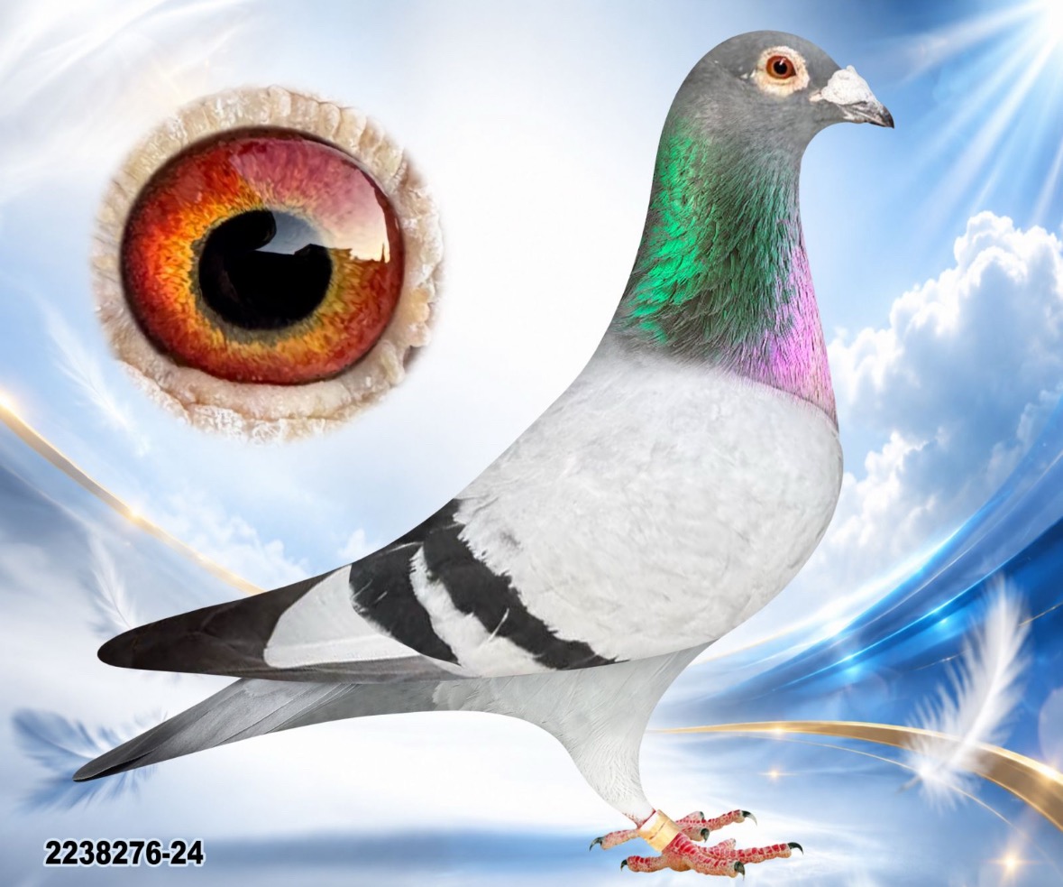 UKR-2238276-2024 2238276