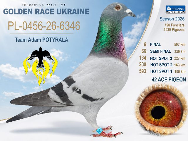 PL-0456-26-6346 Final 6