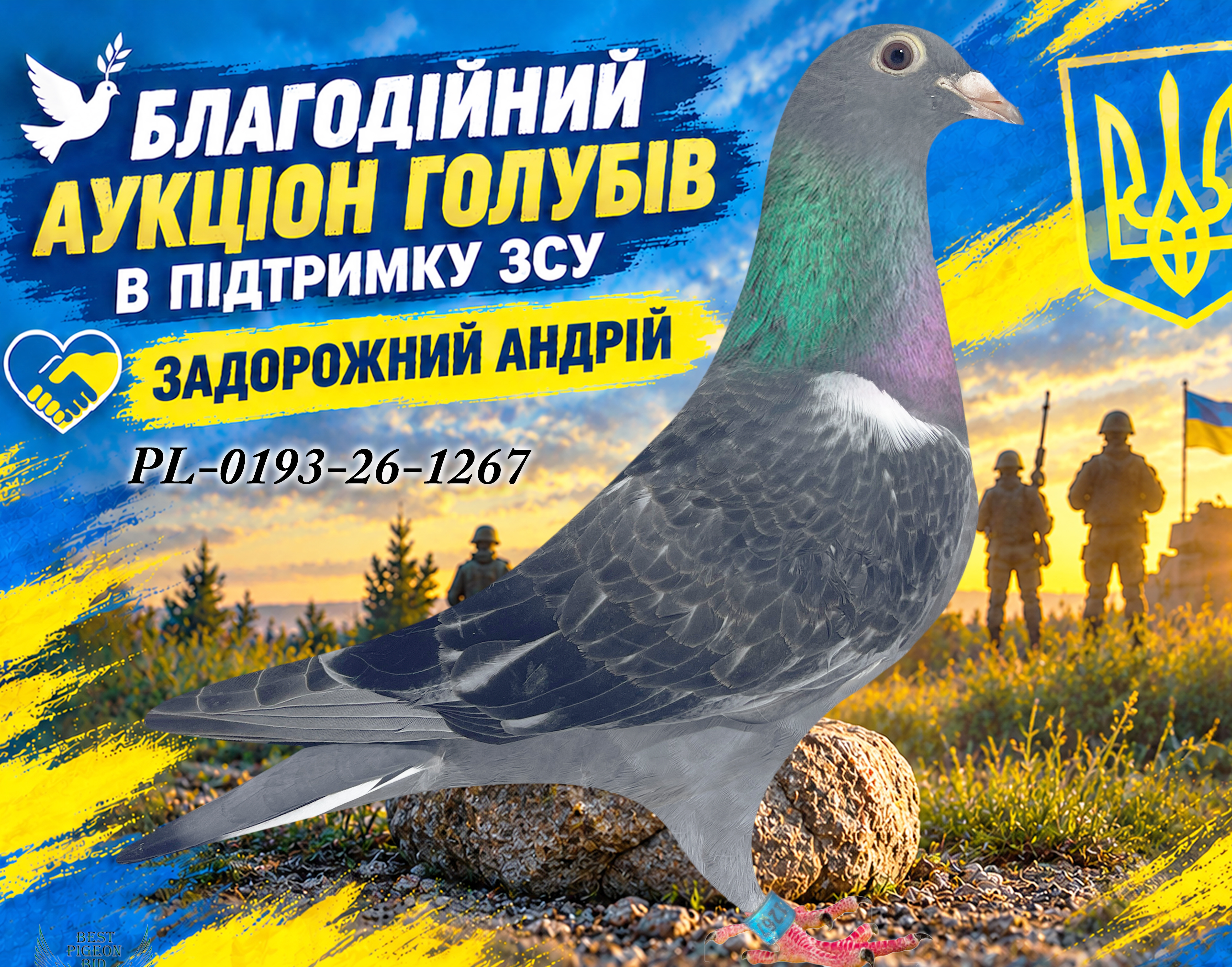 PL-0193-26-1267 1267