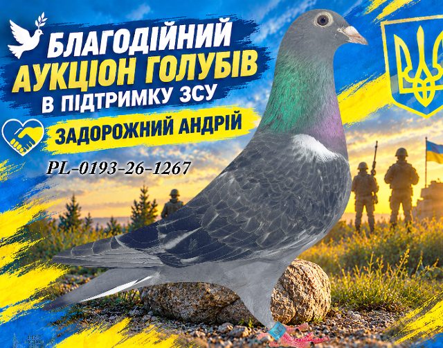 PL-0193-26-1267 1267