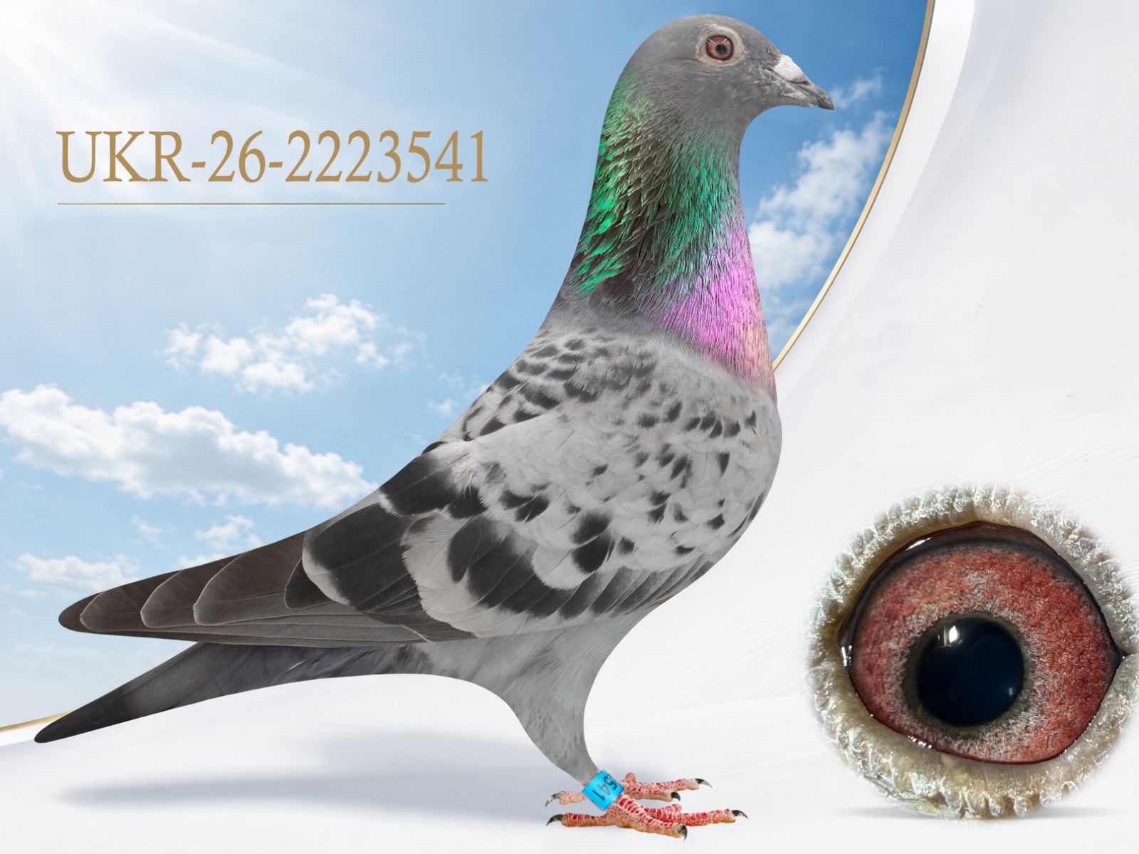 UKR-26-2223541 2223541