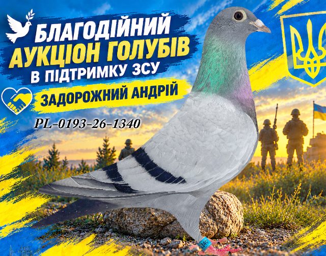 PL-0193-26-1340 1340