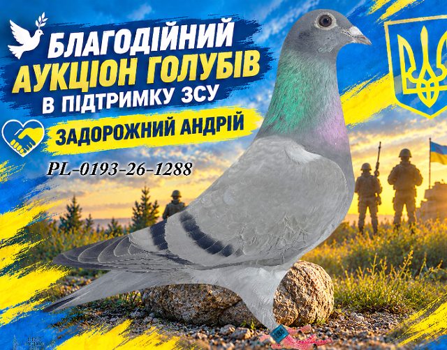 PL-0193-26-1288 1288