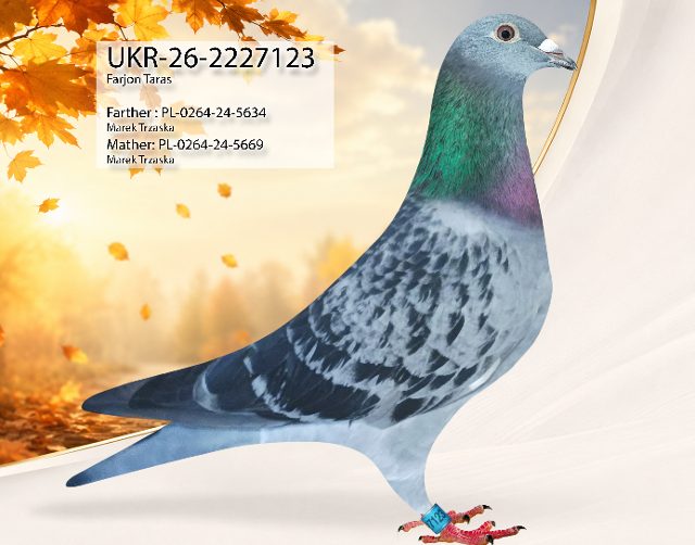 UKR-26-2227123 123
