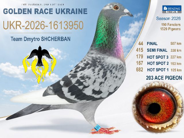 UKR-2026-2433103 Final 44