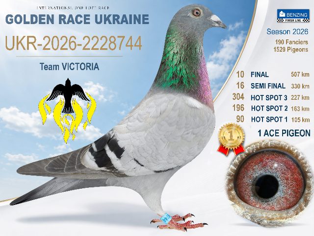 UKR-2026-2228744 Final 10 - 1 AC Pigeon