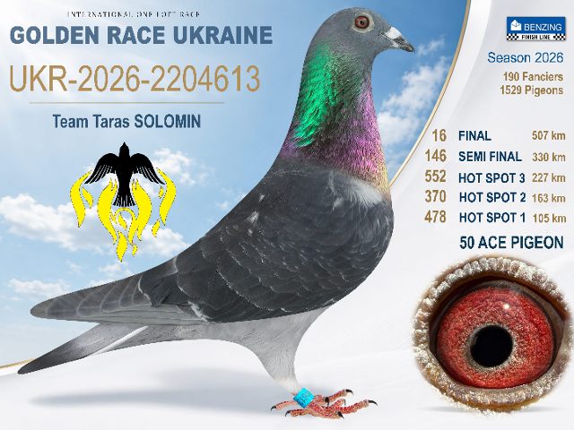 UKR-2026-2204613 Final 16