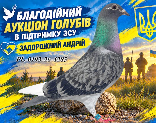 PL-0193-26-1285 1285