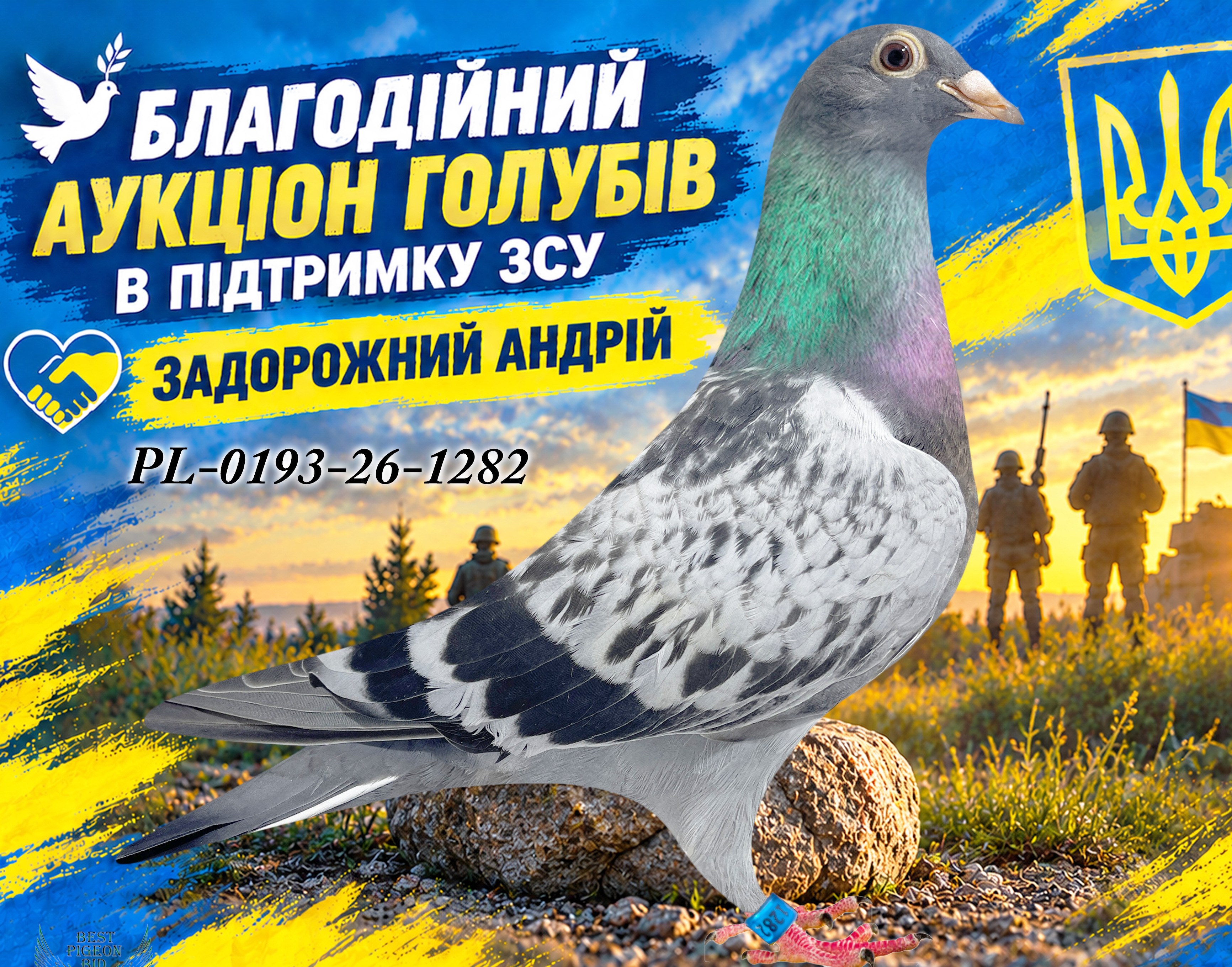 PL-0193-26-1282 1282