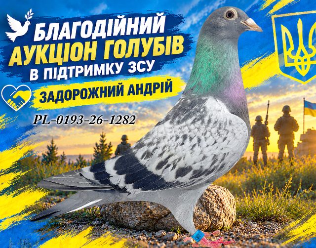 PL-0193-26-1282 1282