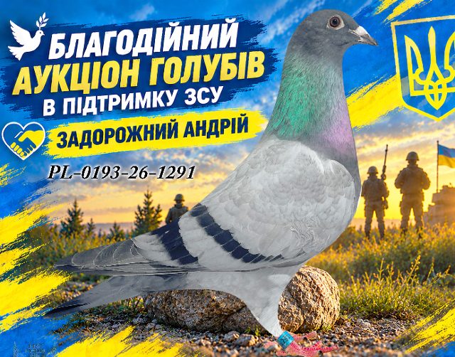 PL-0193-26-1291 1291
