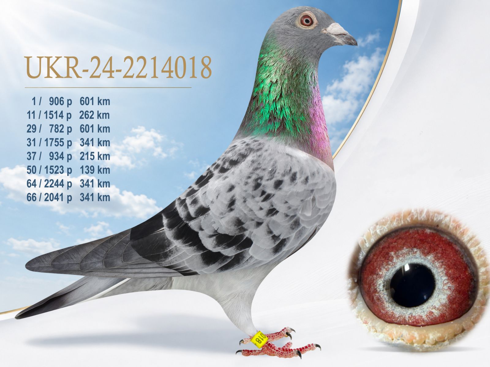 UKR-24-2214018 2214018